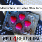 Männliches Sexuelles Stimulans 13